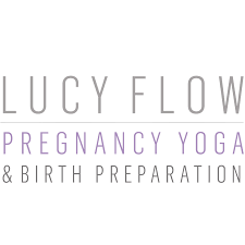 LucyFlow discount code