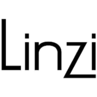 Linzi Shoes discount code logo