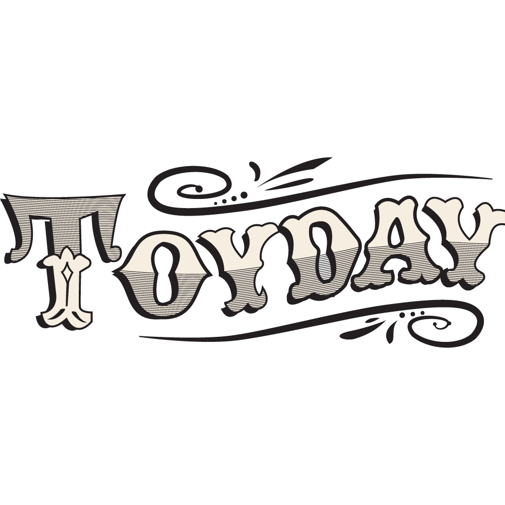 Toy Day discount code logo